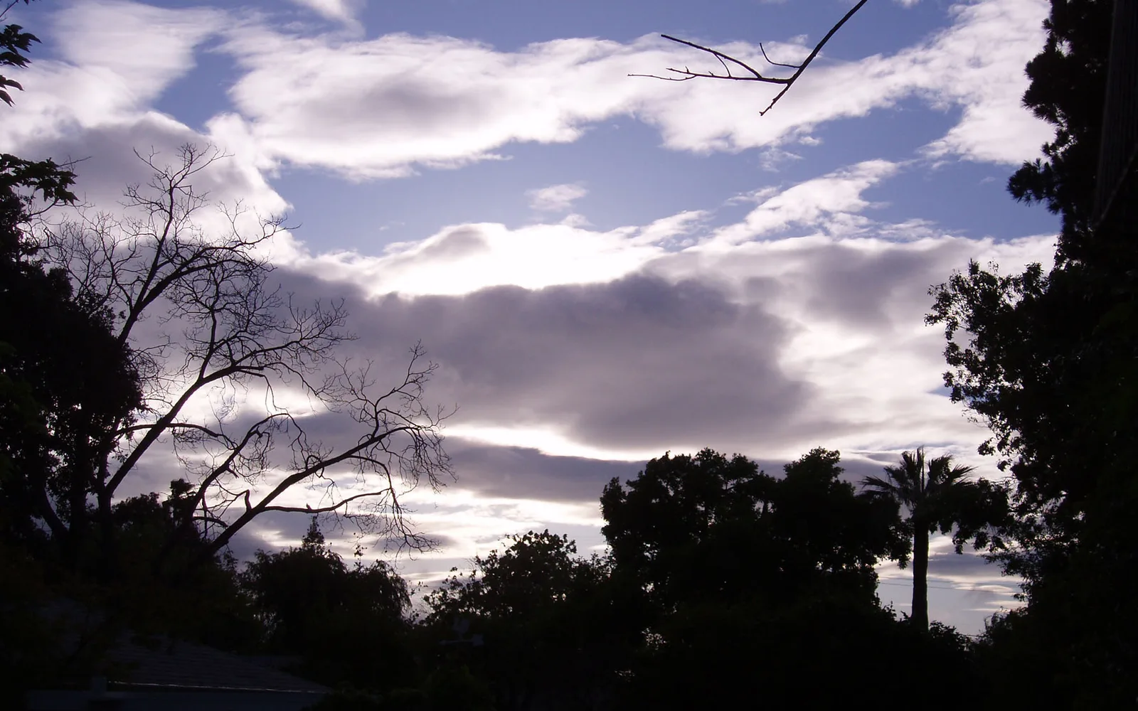 Layered winter clouds above trees in Pleasant Hill